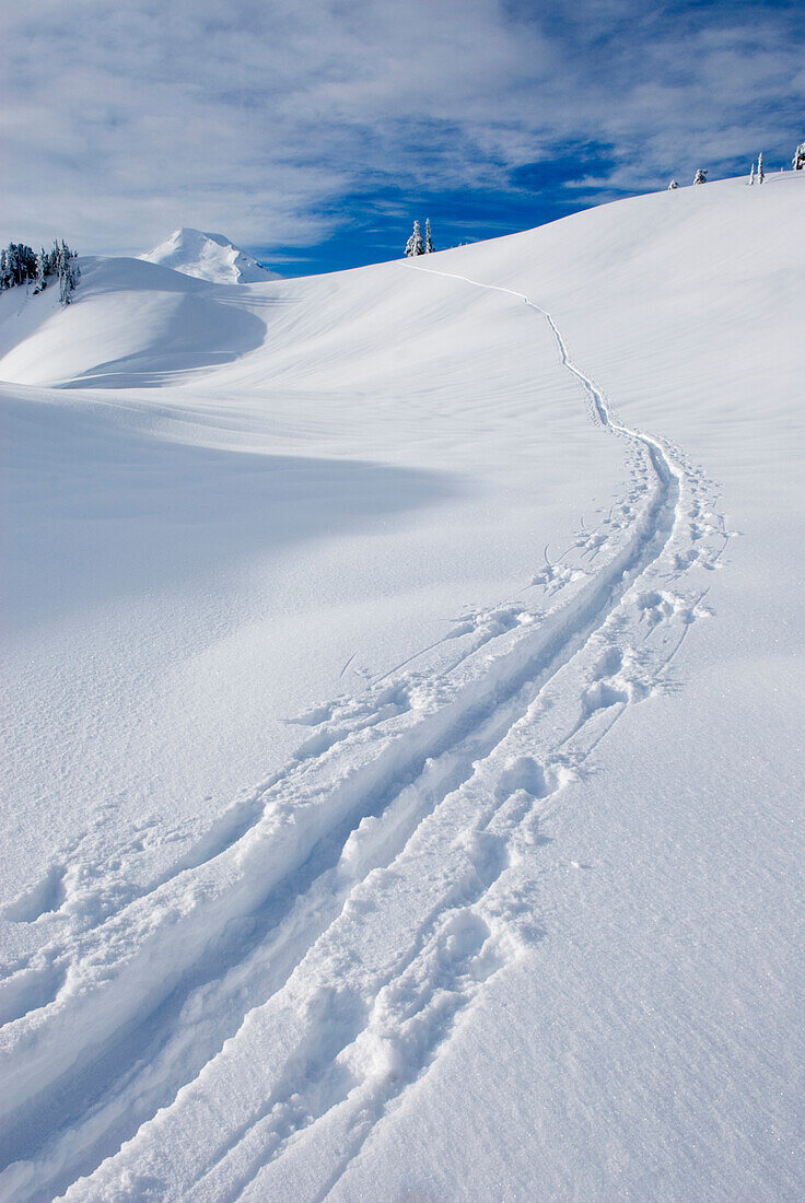 Eine Schneespur, die von einem Langläufer auf den Slpoes des Mount Baker in den North Cascades im Winter gemacht wurde.