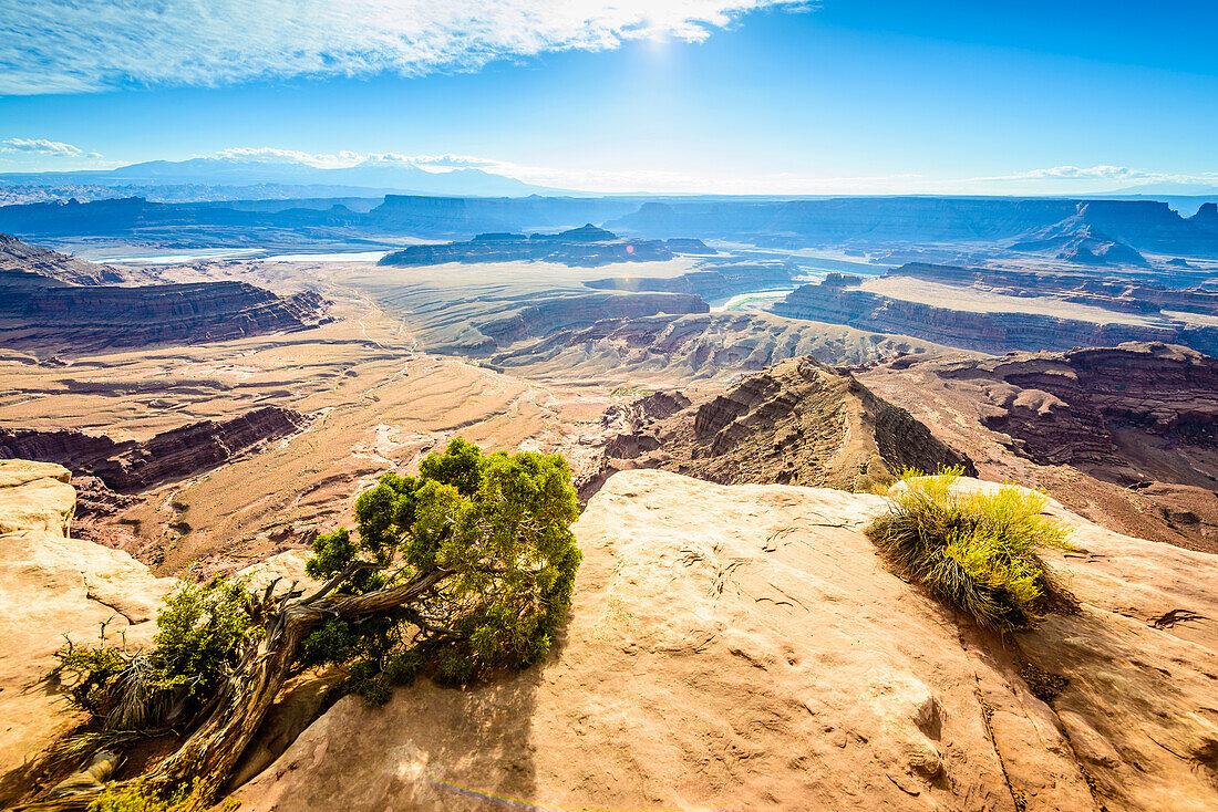 View from above of the messas and rock formations of Canyonlands National Park, and view to Horseshoe Bend and the Colorado River.