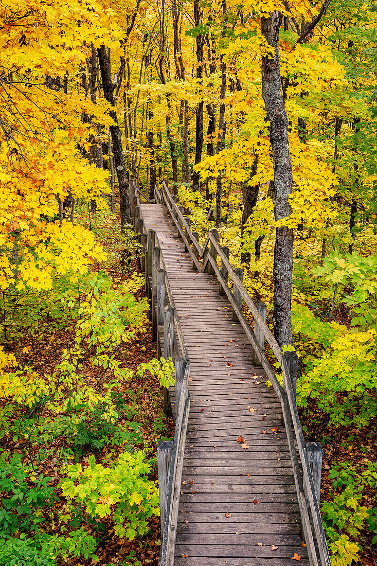 USA, Michigan, Porcupine Mountains Wilderness State Park, Promenade zum Summit Peak