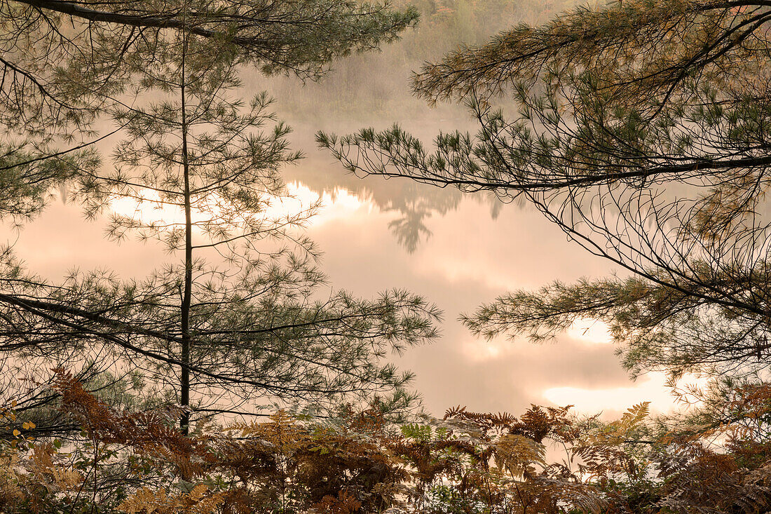 Tahquamenon River at sunrise, near Paradise, Michigan, Upper Peninsula.