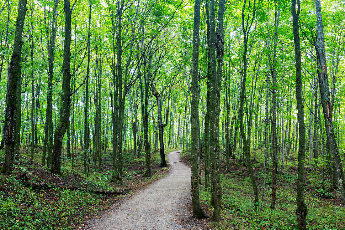 Michigan, Pictured Rocks National Lakeshore, Wanderweg zu Miners Falls