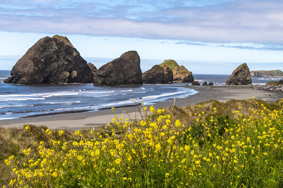 USA, Oregon. Pistol River Beach and sea stacks.