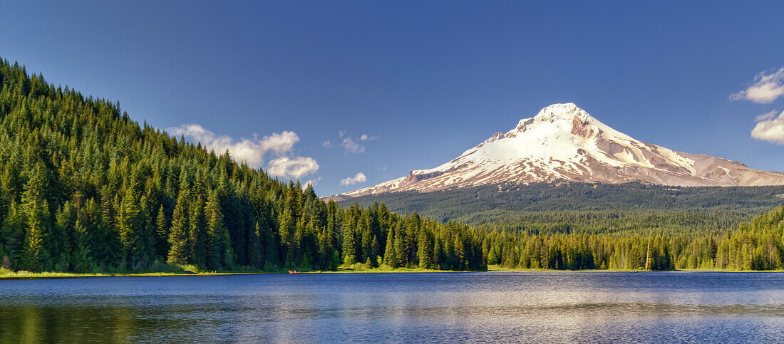 USA, Oregon, Hood River County. Mt. Hood rises high above Trillium Lake in the Mt. Hood National Forest.