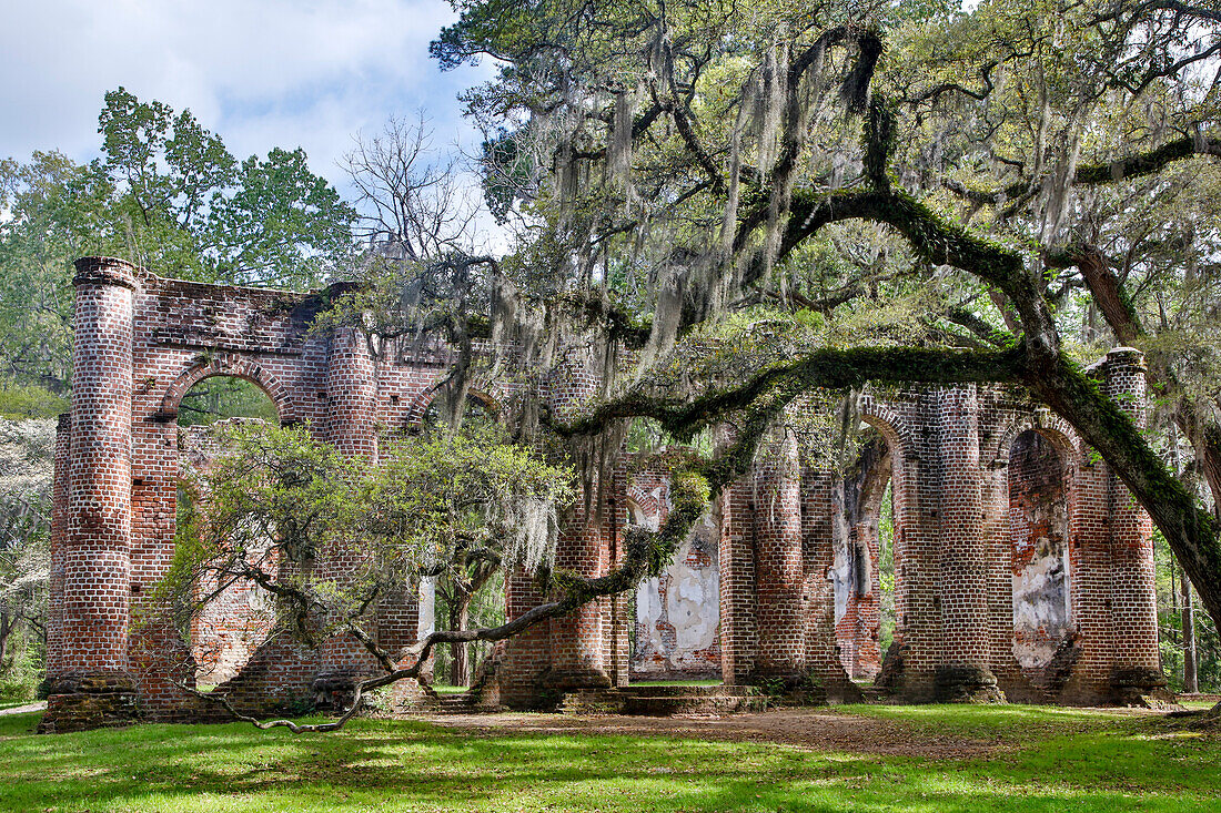 USA, South Carolina, Yemassee, Ruinen der alten Sheldon-Kirche