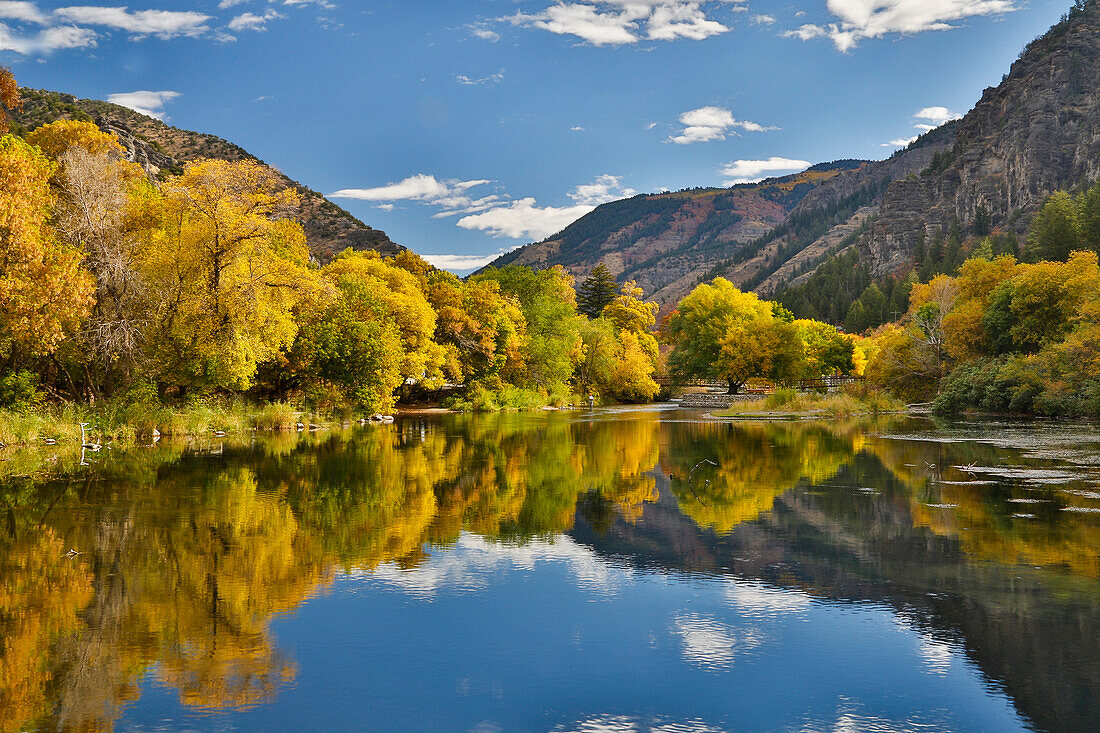 Pappeln, Ahorn und Eichen in Herbstfarben entlang des Logan River, Utah, in den Wasatch Mountains
