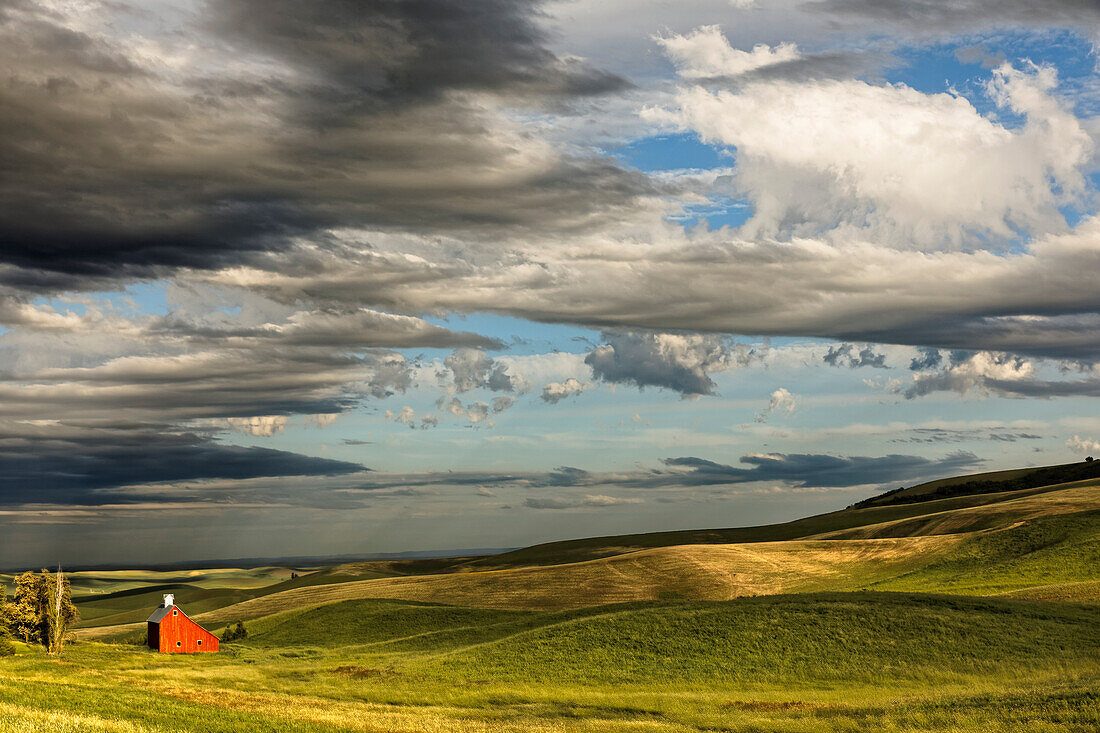 Rote Scheune im Tal der hügeligen Felder, landwirtschaftliche Region Palouse im Westen von Idaho