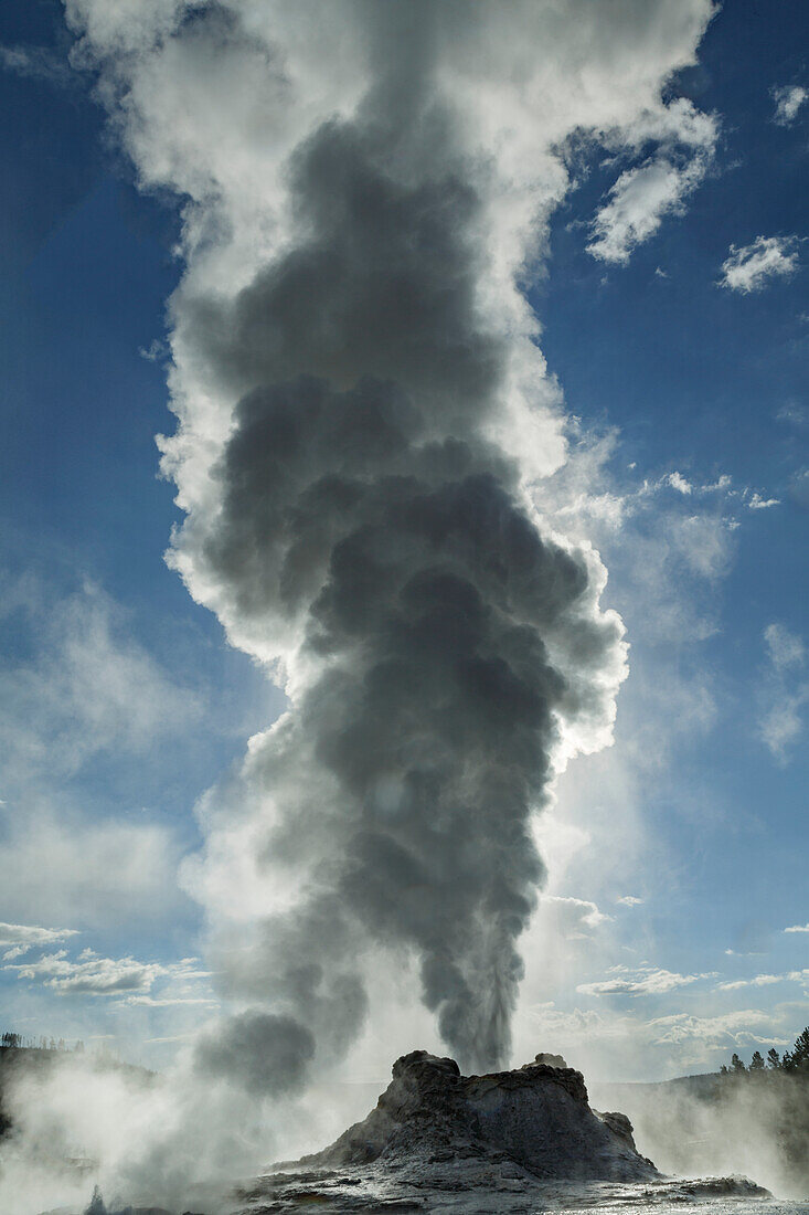 Ausbrechender Castle Geyser, Upper Geyser Basin, Yellowstone National Park, Wyoming.