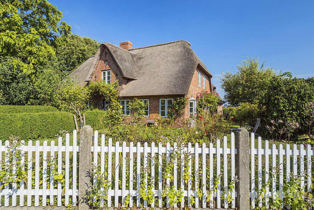 Frisian house in Oldsum, Foehr Island, North Frisian Islands, Schleswig-Holstein, Germany