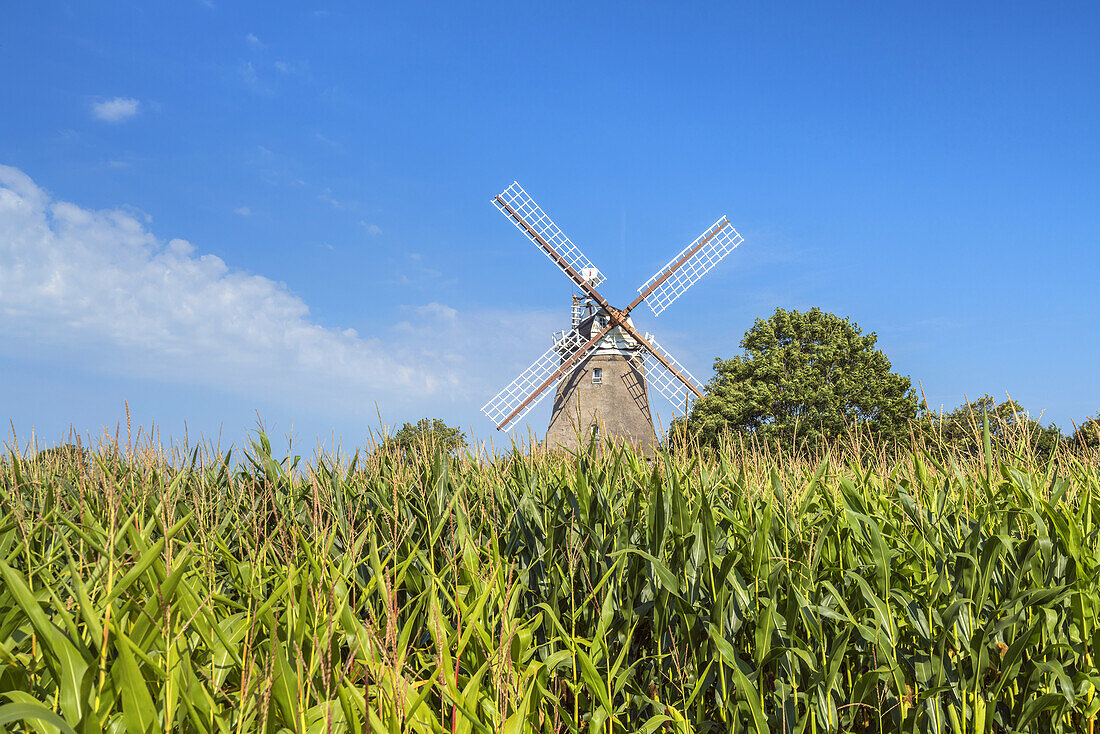 Oldsum Mill, Foehr Island, Schleswig-Holstein, Germany