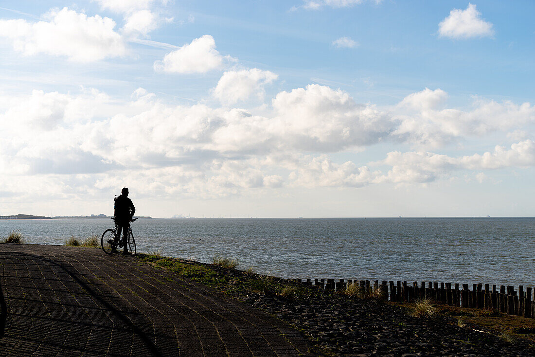 Mann auf einem Fahrrad mit Blick auf die Nordsee in der Nähe von Groede in der Provinz Zeeland, Niederlande