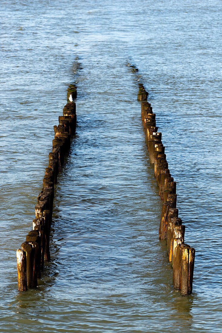 Wavebreakers by the town of Groede in the Zeeland province of the Netherlands.