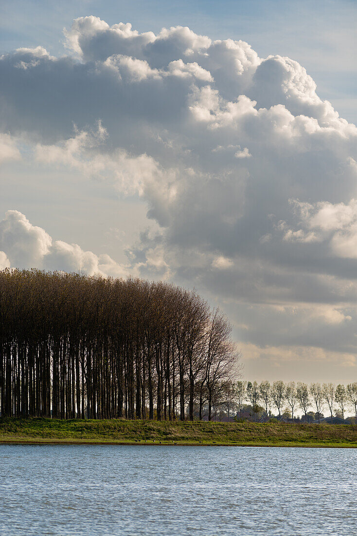 Eine Polderlandschaft in der Provinz Zeeland, Niederlande