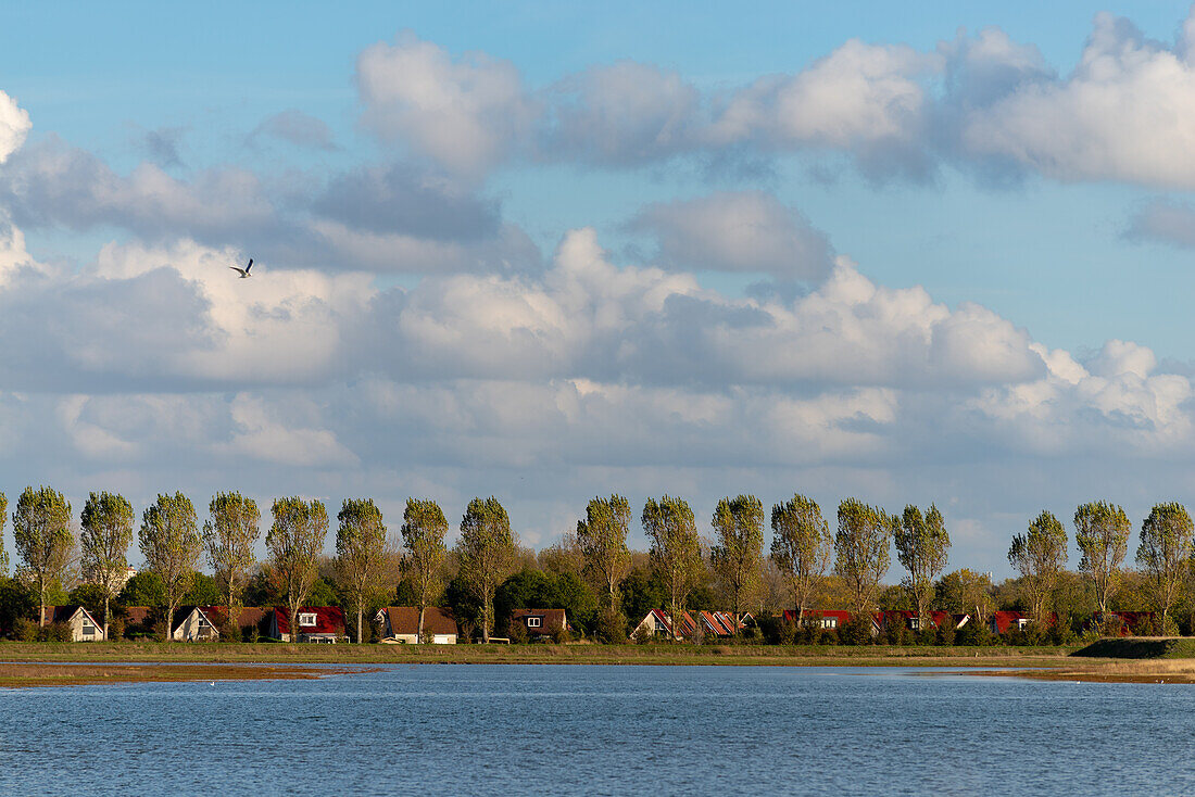 A polder landscape in the province of Zeeland, the Netherlands