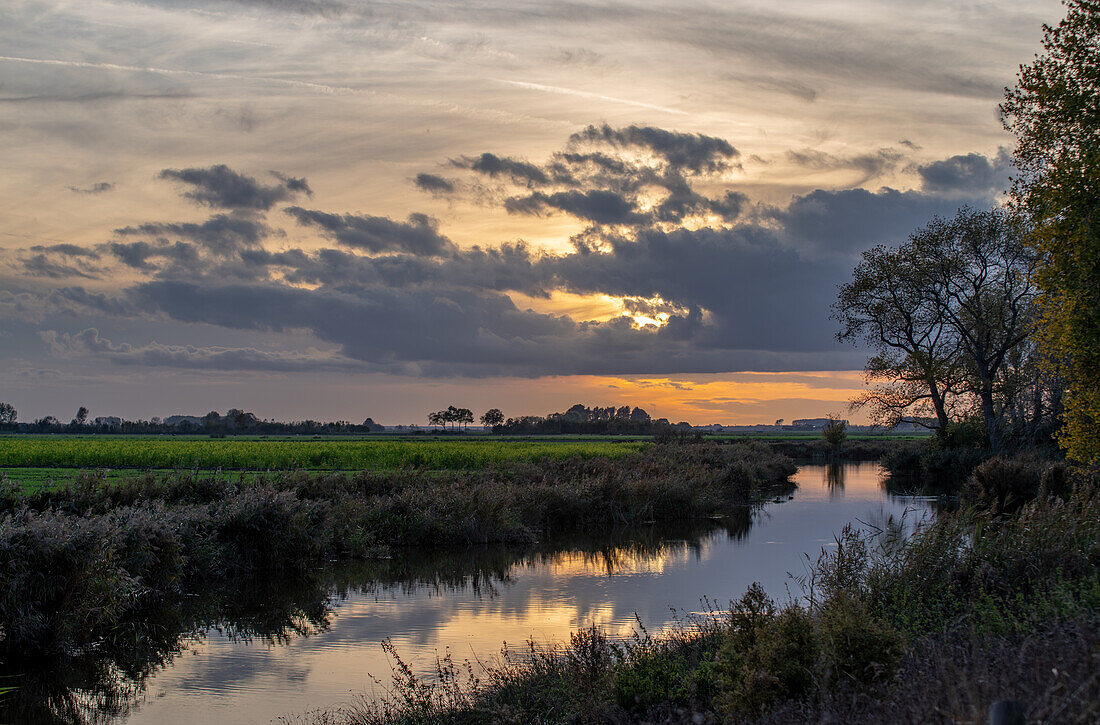 Ein Bach im ländlichen Flandern, Belgien.