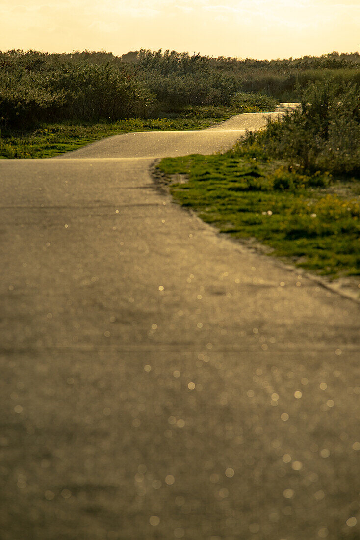 A road through the dunes in Groede, the Netherlands.