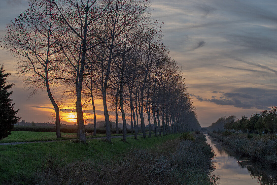 Pappeln säumen einen Kanal im ländlichen Flandern, Belgien.