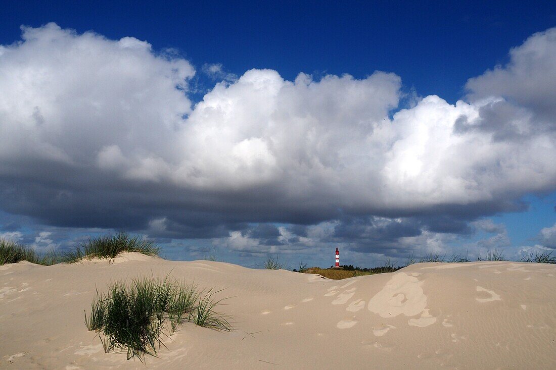 Leuchtturm bei Wittdün auf der Insel Amrum, Nationalpark Wattenmeer, Nordfriesland, Nordseeküste, Schleswig-Holstein