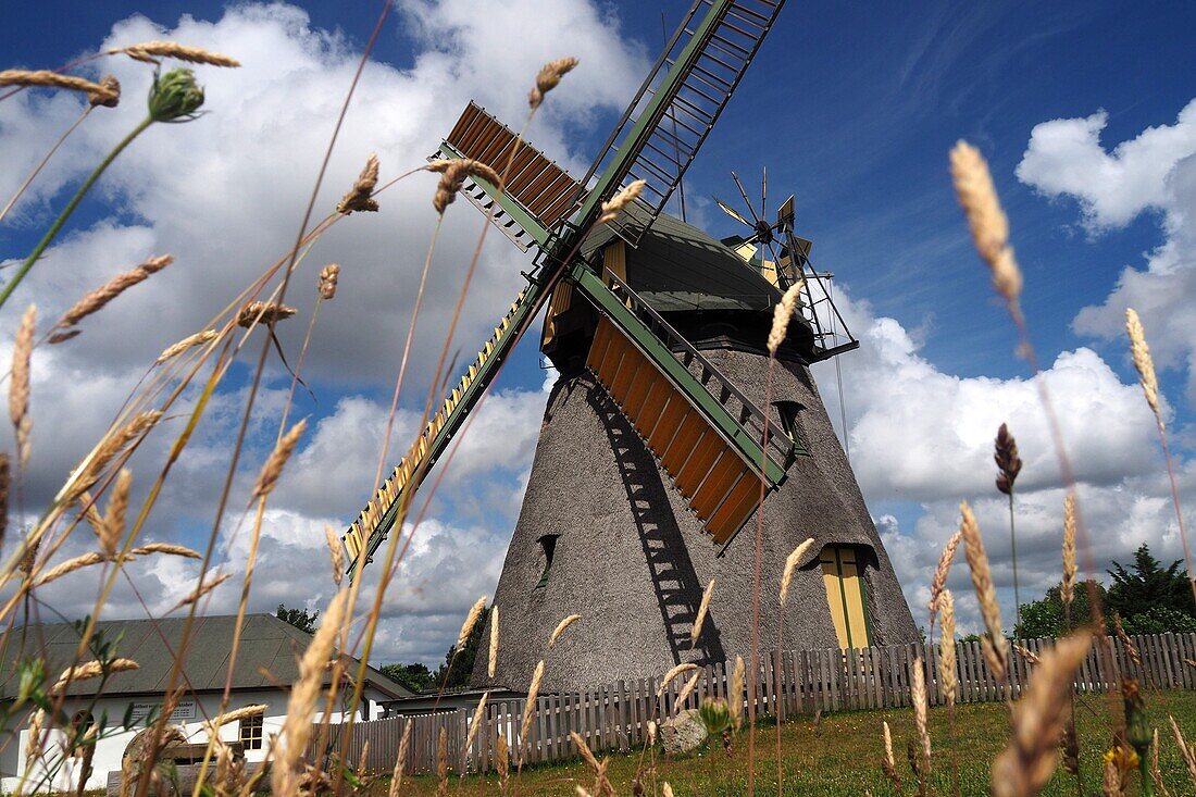 Windmühle bei Nebel auf der Insel Amrum, Nationalpark Wattenmeer, Nordfriesland, Nordseeküste, Schleswig-Holstein