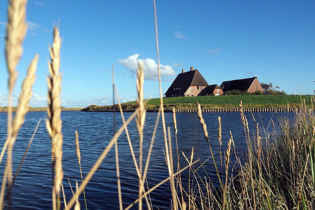 Kirchwarft, Hallig Hooge, Nationalpark Wattenmeer, Nordfriesland, Nordseeküste, Schleswig-Holstein