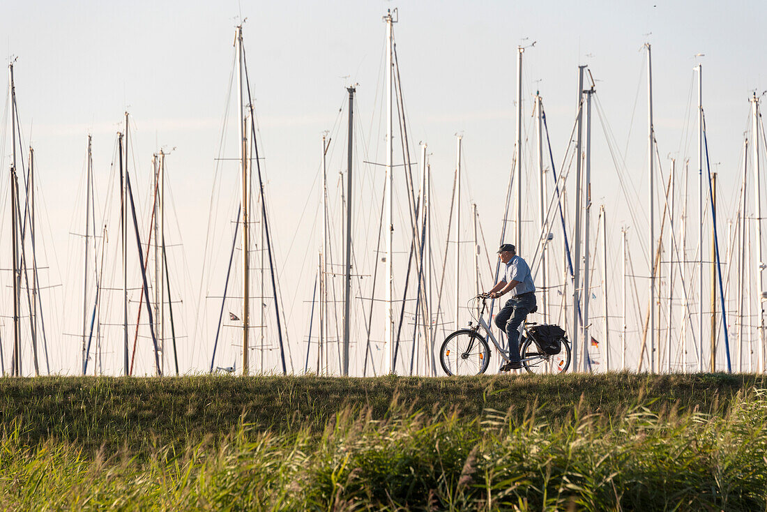 Cyclists on the dyke, masts of sailing boats, Hiddensee Island, Mecklenburg-West Pomerania, Germany