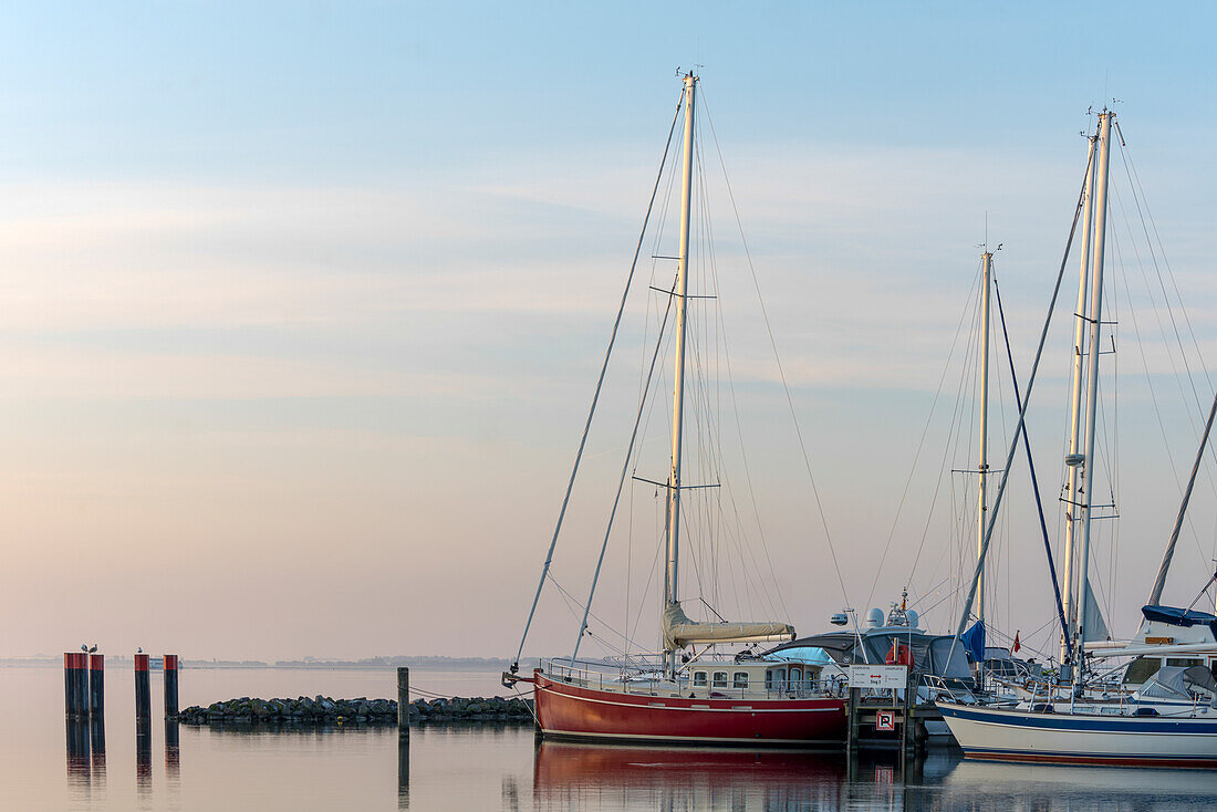 Segelboote spiegeln sich im Wasser, Kloster, Insel Hiddensee, Mecklenburg-Vorpommern, Deutschland