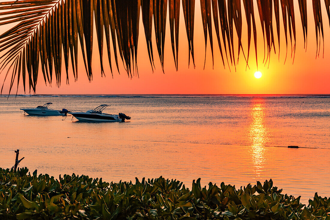 Traumhafter Sonnenuntergang mit Palme und Booten an der Küste von Le Morne im Süden der Insel Mauritius im Indischen Ozean