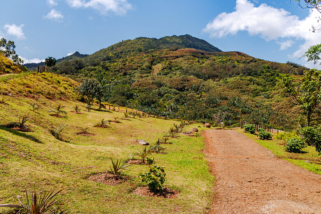 Üppig grüne Landschaft im Vallée Des Couleurs Nature Park im Süden der Insel Mauritius, Indischer Ozean