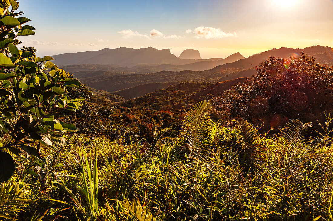 Rain forest and lush nature are just as much at home on the island of Mauritius as bizarre mountain formations