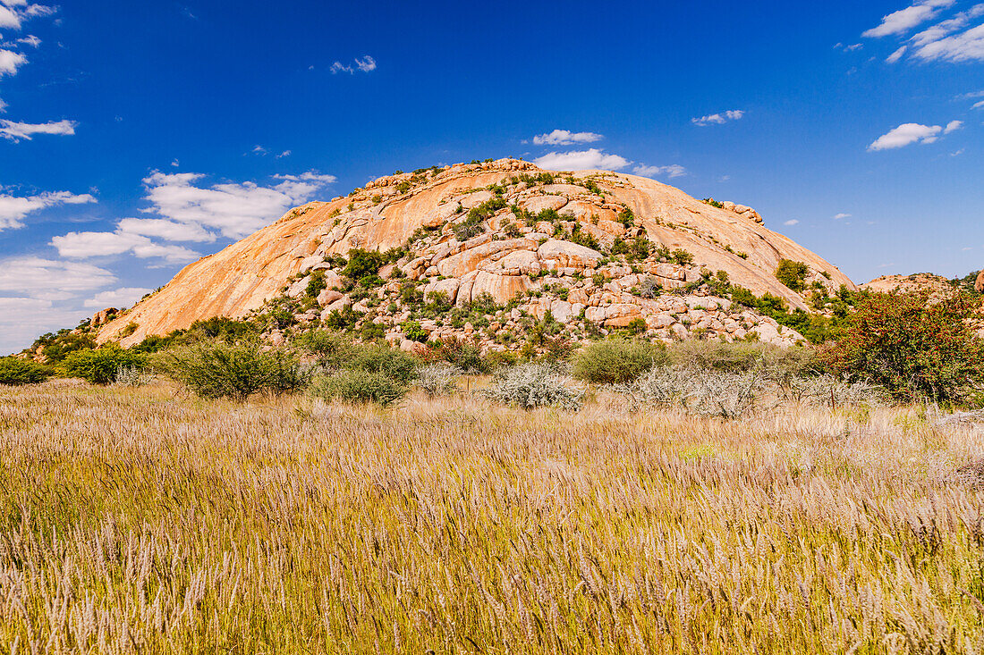 A meadow with bushland in front of a prominent inselberg in the Erongo Mountains, Namibia, Africa