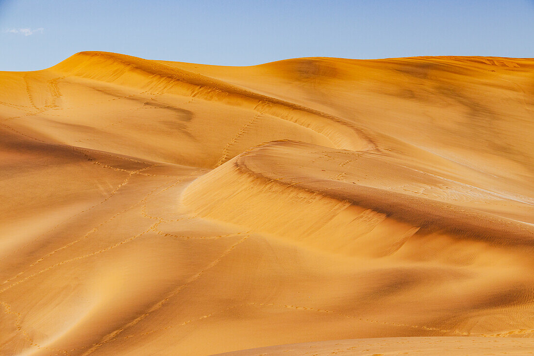 Sand dunes and sand drifts with patterns and ripples of sand in the Namib Desert of Namibia, Africa