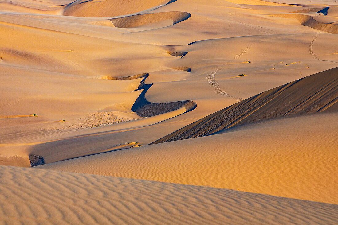 Markante Sanddünen, Spuren und Sandverwehungen in der Wüste Namib, Namibia, Afrika