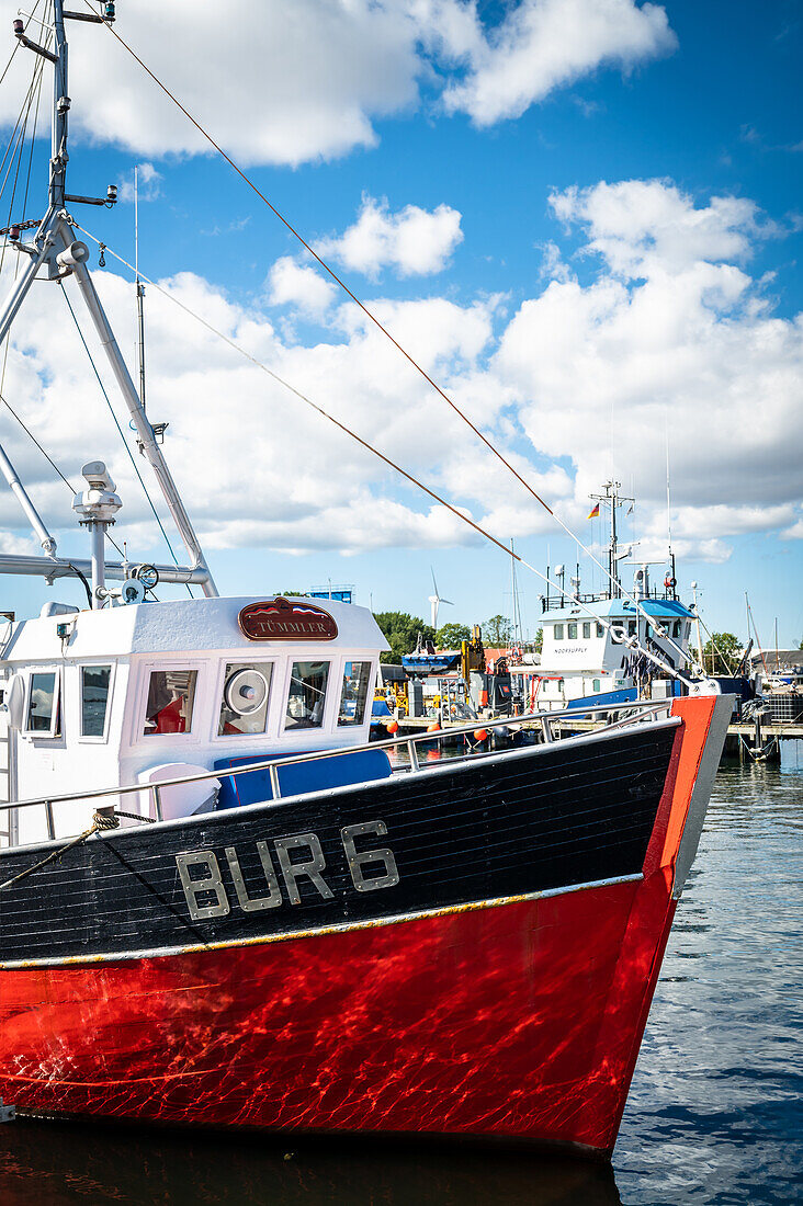 Fischkutter Tümmler, Burgstaaken, Fehmarn, Insel, Ostholstein, Schleswig-Holstein, Deutschland