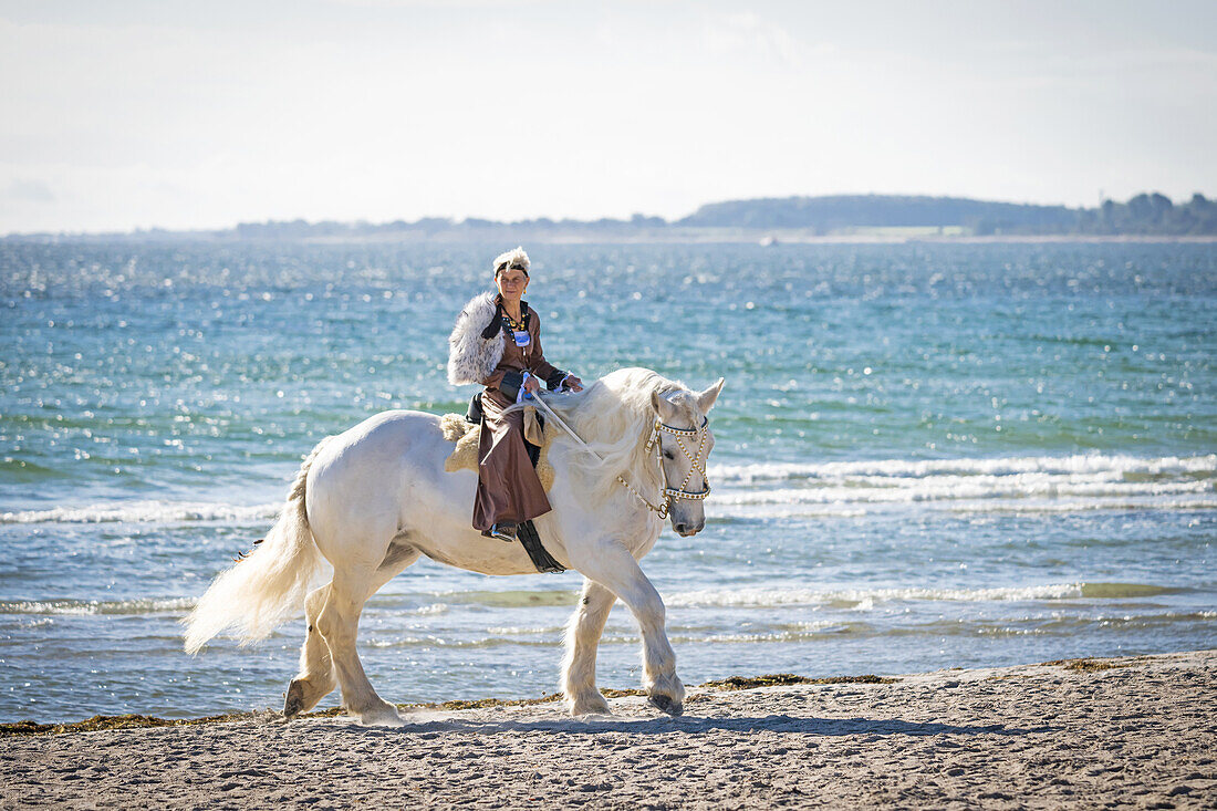 Horsewoman on the beach at the Baltic Sea in Grossenbrode, Baltic Sea, Ostholstein, Schleswig-Holstein, Germany