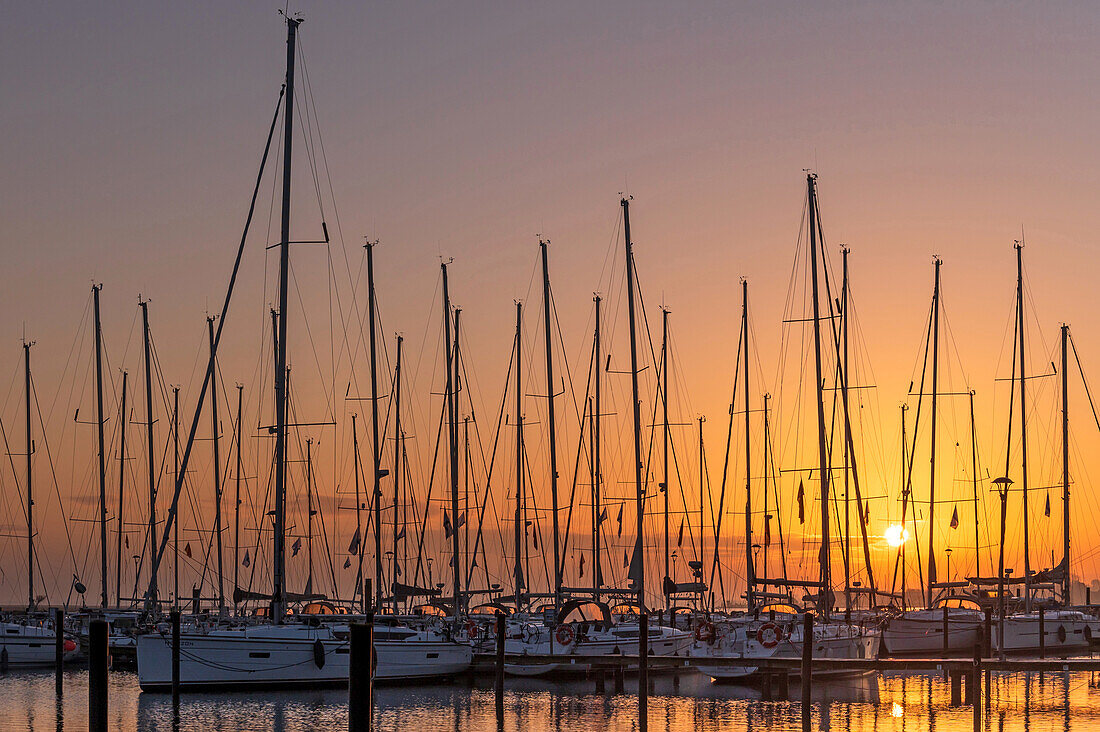 Sailing boats in the marina at sunrise, Heiligenhafen, Baltic Sea, Ostholstein, Schleswig-Holstein, Germany