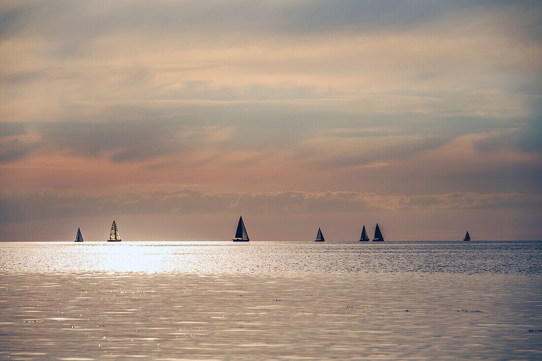 Segelboote am Weststrand von Grossenbrode im Abendlicht, Ostsee, Ostholstein, Schleswig-Holstein, Deutschland