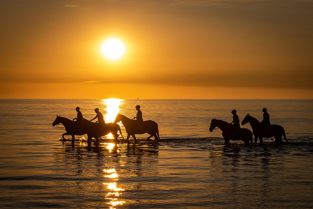 Reiter im Sonnenuntergang in der Ostsee, Ostholstein, Schleswig-Holstein, Deutschland