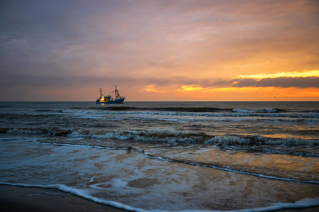 Fishing cutter in the setting sun in the North Sea, Sankt-Peter-Ording, North Friesland, Schleswig-Holstein, Germany