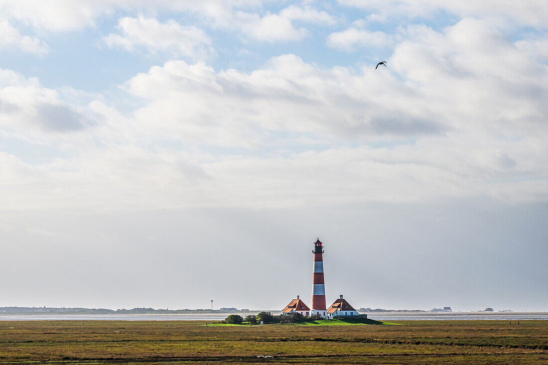 Blick auf den Leuchtturm von Westerhever, Nordsee, Nordfriesland, Schleswig-Holstein, Deutschland