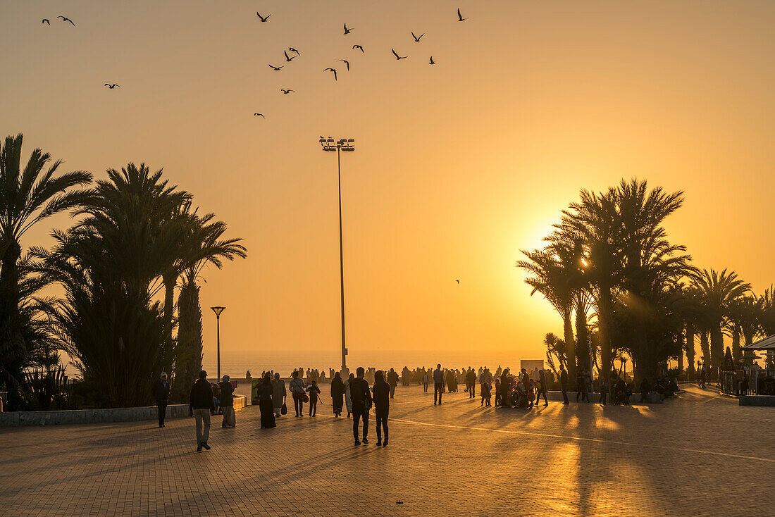 Sunset at the beach Promenade in Agadir, Kingdom of Morocco, Africa