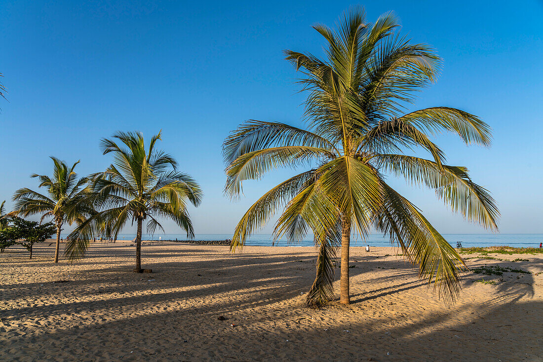 palm fringed Cape Point beach, Bakau, Gambia, West Africa,