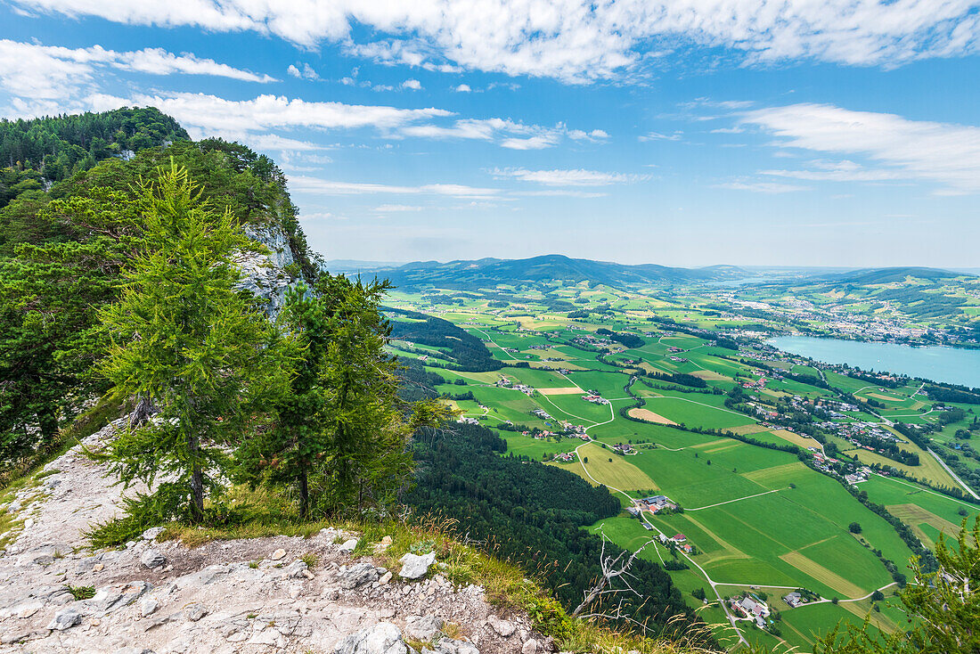 Blick von der Drachenwand über den Mondsee, Salzkammergut, Österreich