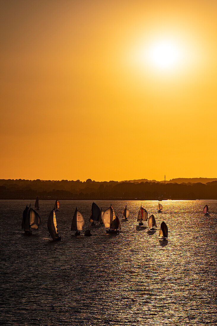Sailing boats at sunset in the Kiel Fjord, Schleswigholstein, Germany, Europe