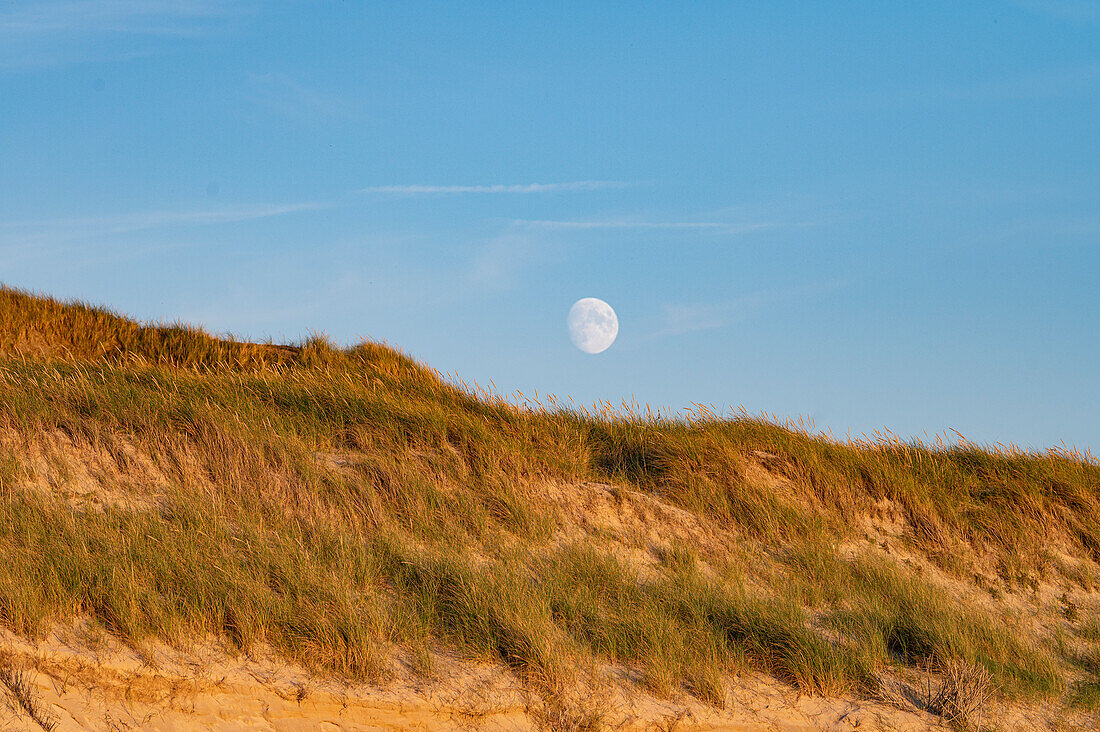 Dünenlandschaft mit Mond am Strand von Sylt, Nordeutschland, Schleswig-Holstein, Deuschland, Eurpoa