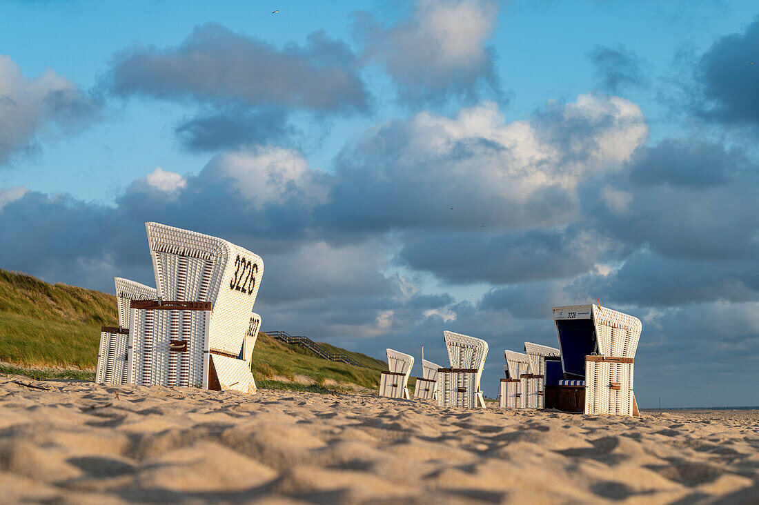 Strandkörbe am Strand von Sylt, Norddeutschland, Schleswig-Holstein, Deutschland, Eurpoa