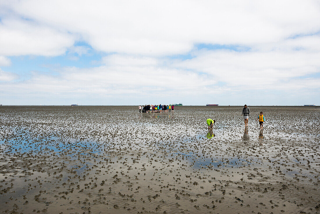 Wattwanderer, Duhnen, Cuxhaven, Nordsee, Niedersachsen, Deutschland