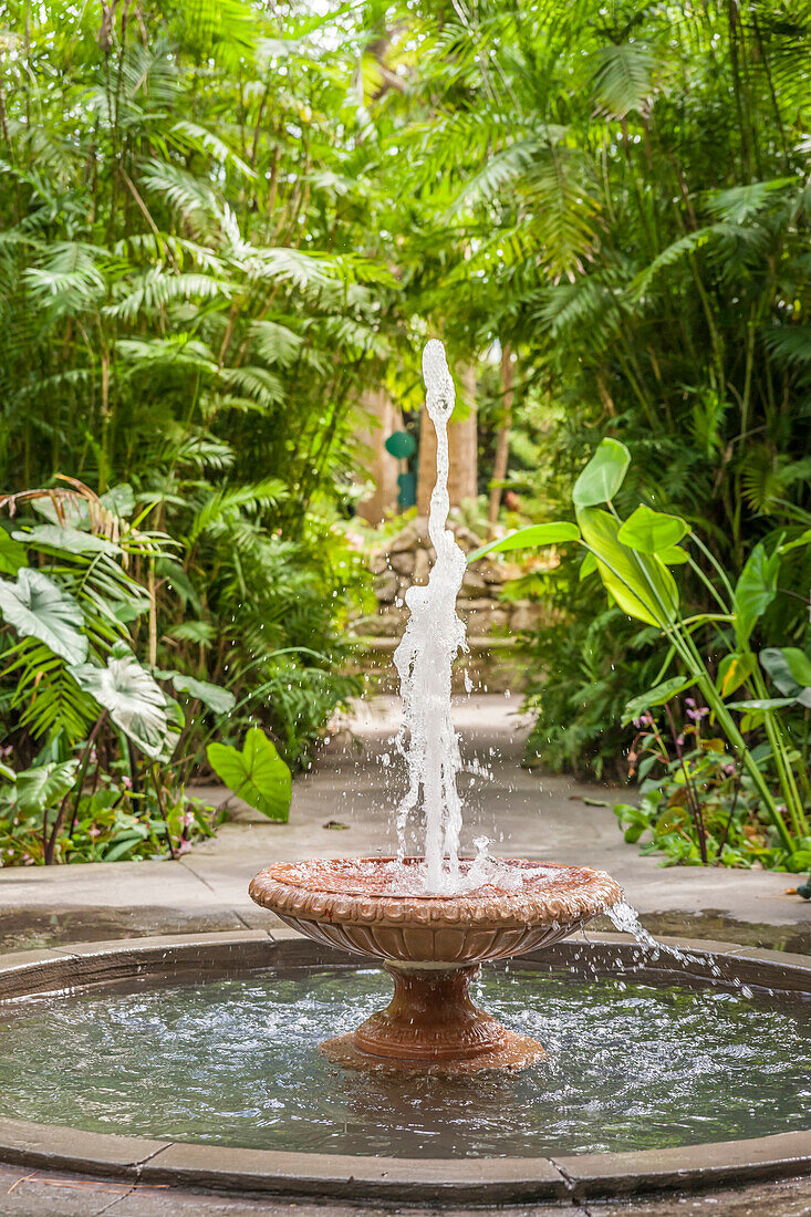 Fountain in La Mortella Garden in Forio, Ischia Island, Gulf of Naples, Campania, Italy