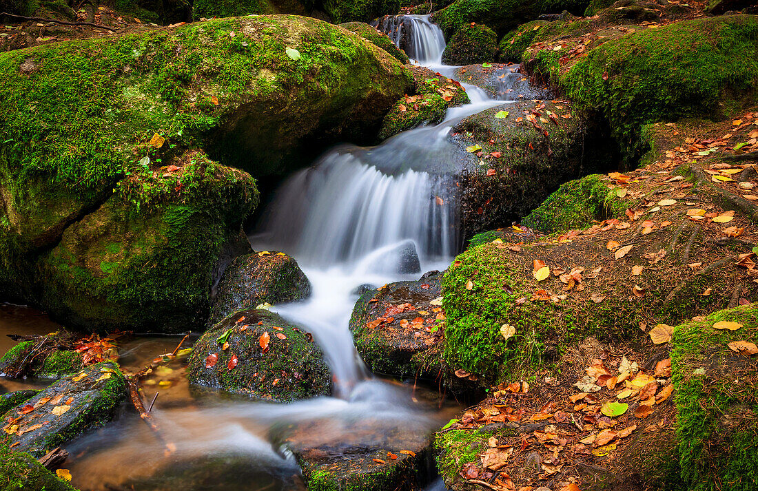 Autumn at Höllbach, Brennberg, Bavarian Forest, Bavaria, Germany