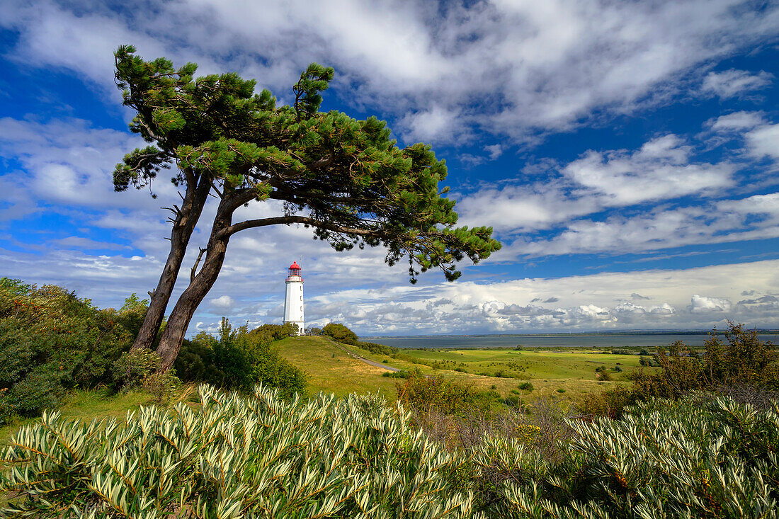 Leuchtturm auf der Insel Hiddensee in der Ostsee, Mecklenburg-Vorpommern, Deutschland