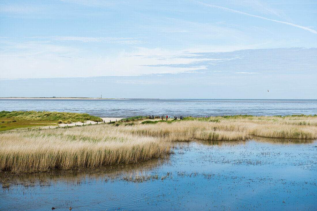 Lagune und Strand, Wattenmeer, Schillig, Wangerland, Ostfriesland, Niedersachsen, Nordsee, Deutschland