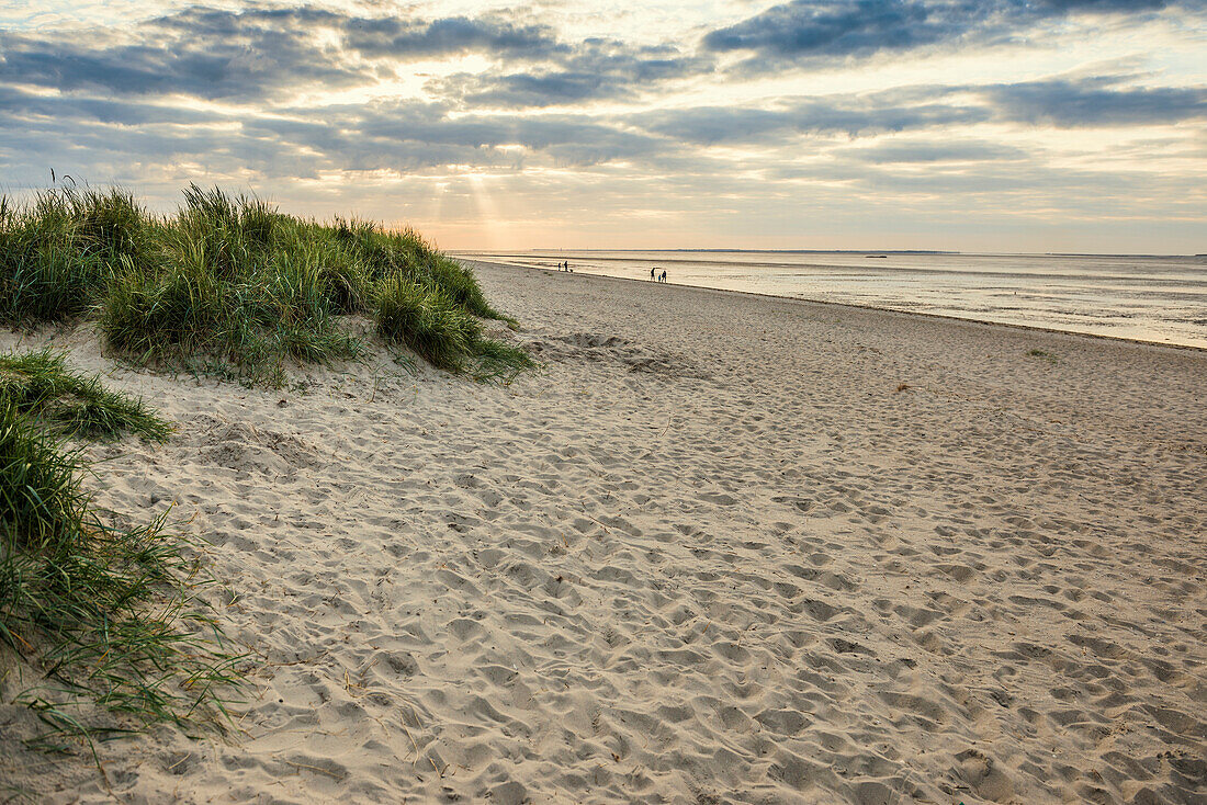 Strand, Sonnenuntergang, Wattenmeer, Schillig, Wangerland, Ostfriesland, Niedersachsen, Nordsee, Deutschland